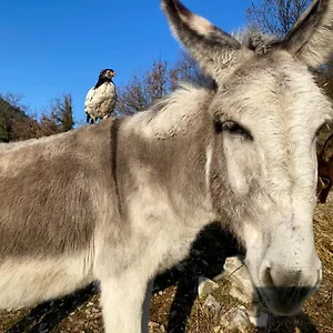 https://la-ferme-rolland.hotels-rhonealpes.com